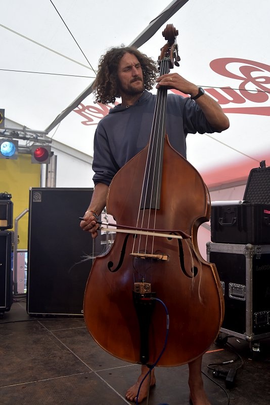 Trutnoff vrcholil s Parov Stelar nebo Skunk Anansie