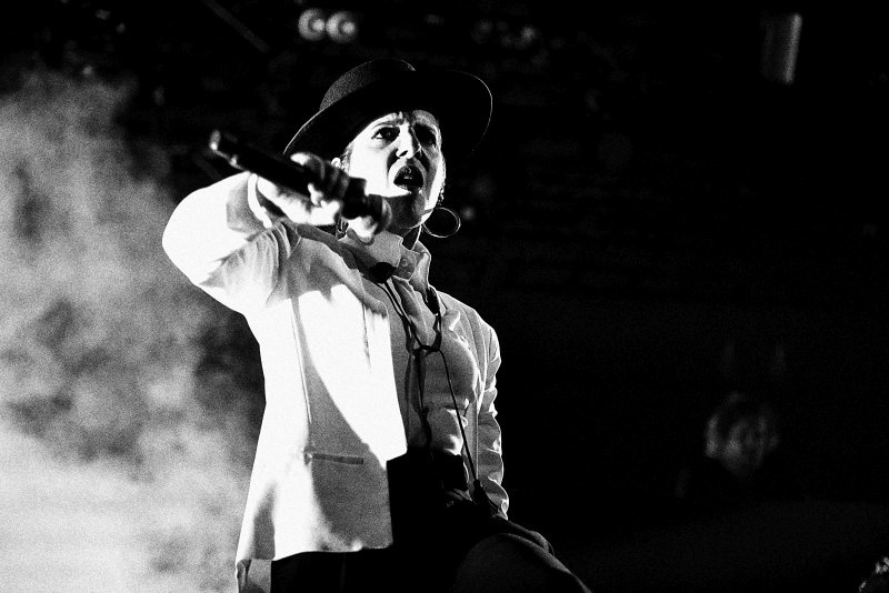 Trutnoff vrcholil s Parov Stelar nebo Skunk Anansie