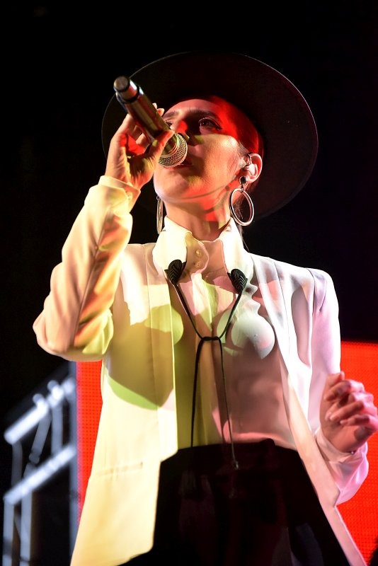 Trutnoff vrcholil s Parov Stelar nebo Skunk Anansie