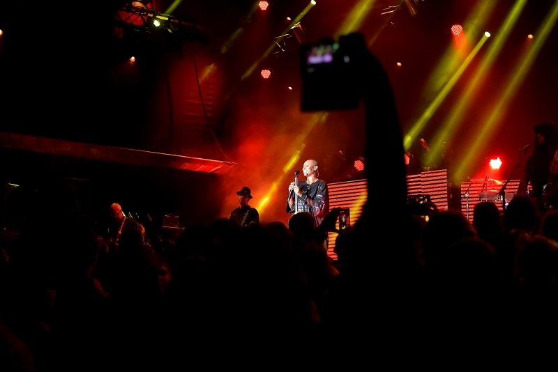 Trutnoff vrcholil s Parov Stelar nebo Skunk Anansie