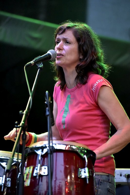 Trutnoff vrcholil s Parov Stelar nebo Skunk Anansie