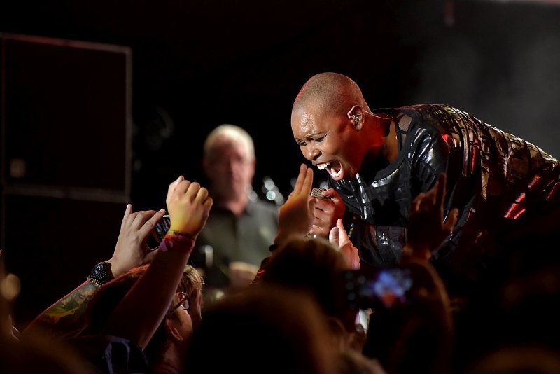 Trutnoff vrcholil s Parov Stelar nebo Skunk Anansie