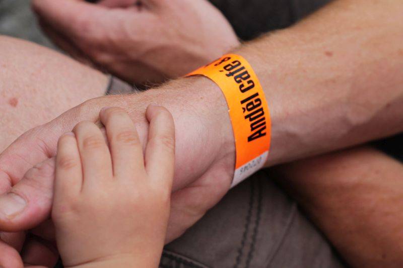 Plzeňský Goodfest uvítal Lake Malawi, IAN nebo Light And Love, hostiteli byli The Fellas