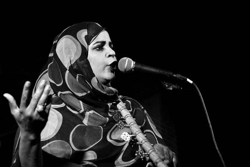V Česku vystoupila nejlepší zpěvačka severní Afriky, Noura Mint Seymali předvedla pouštní blues