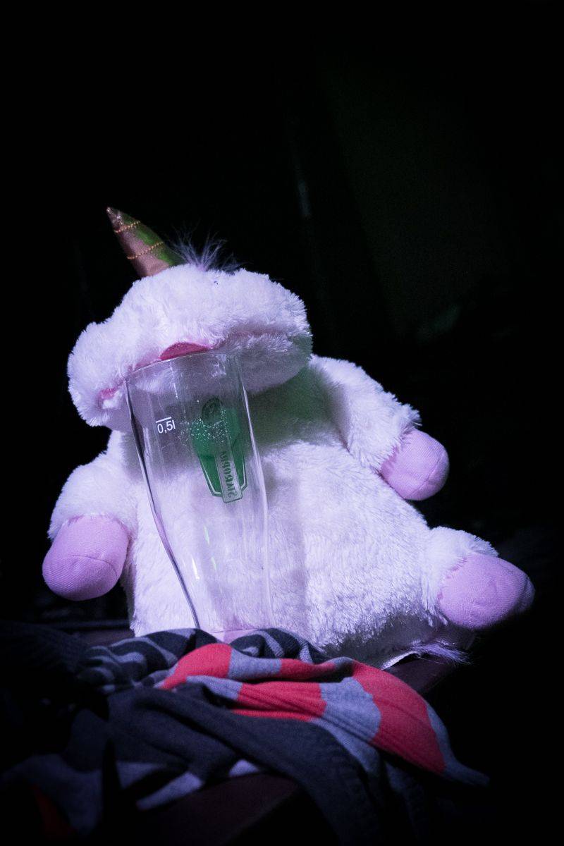 Timudej křtili Ještěně, v Roxy byla k vidění i akrobacie nebo vokální skupina