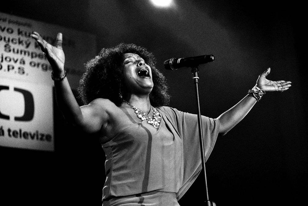 Blues Alive pokračoval s dalšími výbornými muzikanty