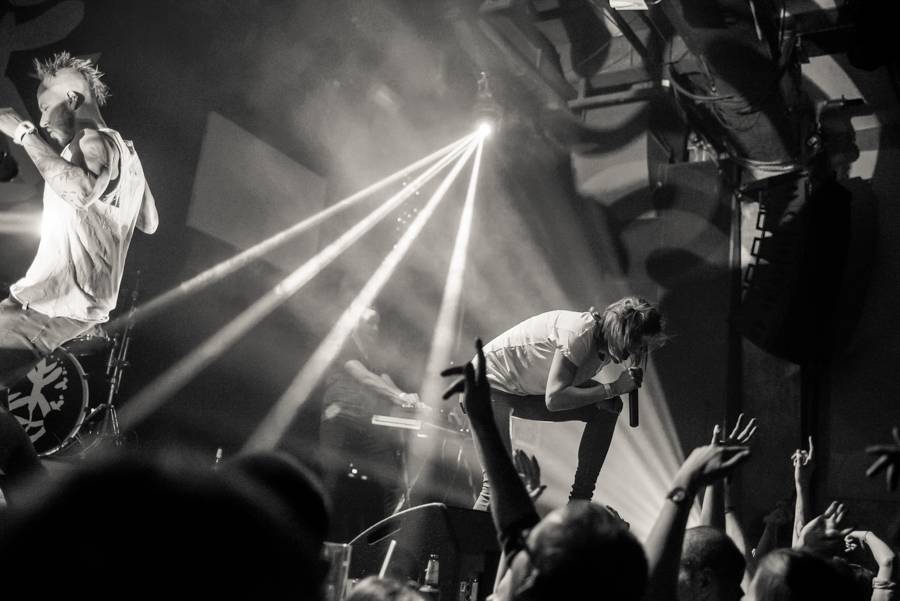 Skyline proměnili Roxy v divokou džungli