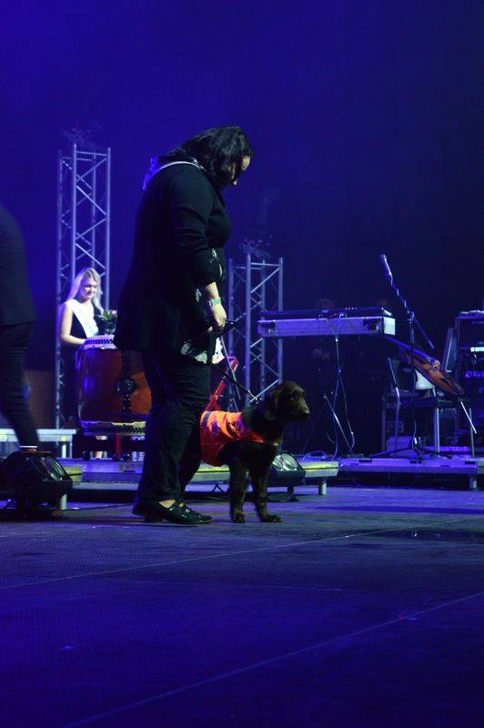 Čechomor v předvánočním Foru Karlín pomáhal psím kamarádům, hrál čínskou lidovku i Montiho čardáš