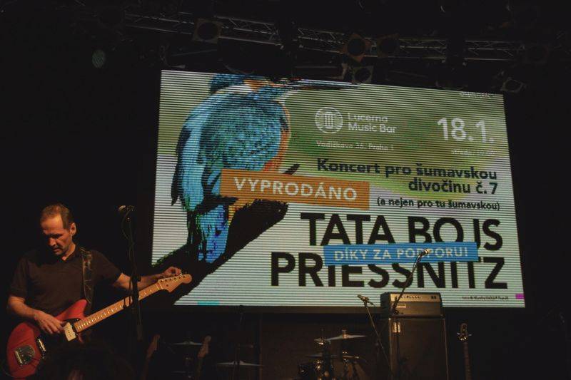 Šumavskou divočinu podpořili koncertem Tata Bojs a Priessnitz