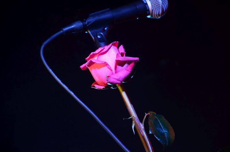 Buzeranti se na Valentýna sešli v Rock Café! Zahráli i Vagyny Dy Praga