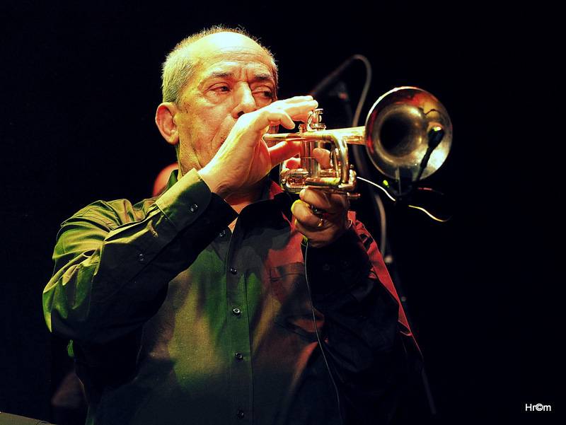 Fanfare Ciocărlia přenesli vyprodanou Akropoli do malé rumunské vesničky