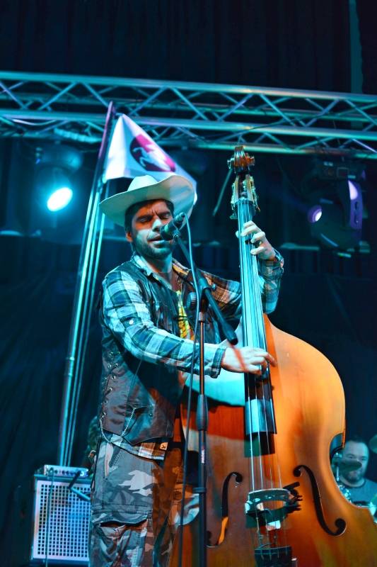 Wohnout v akustickém provedení zvedl v Pardubicích diváky ze židlí