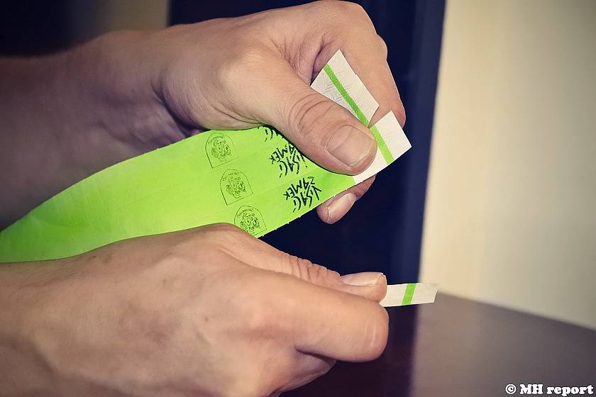 Velikonoční punkový večírek v Plzni: Šeříkovku ovládli Visací zámek a SPS