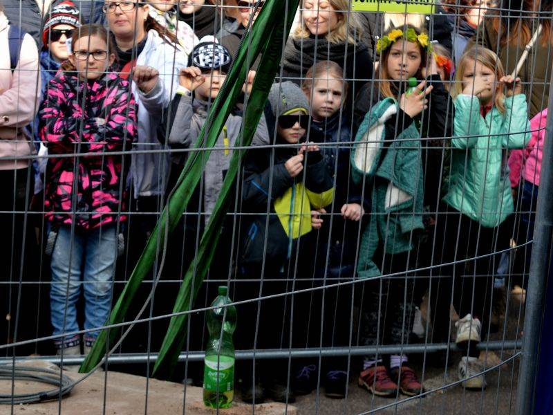 Hradecký Majáles zahájil sezónu open airů. Vystoupili Tomáš Klus, Aneta Langerová, Marpo a řada dalších