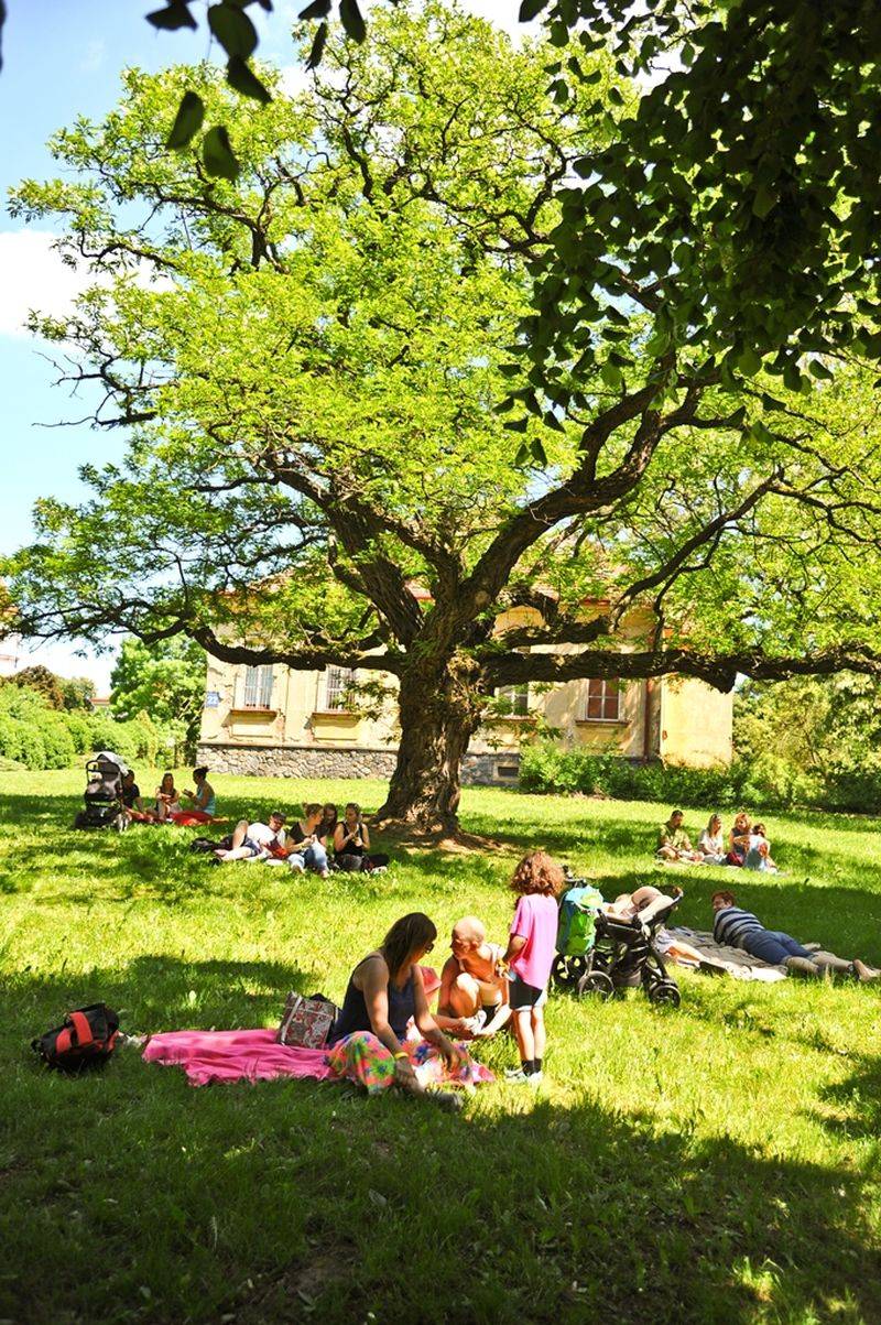 Víkend Mezi ploty: Bohnice ožily hudbou i divadlem, hráli Tomáš Klus, Aneta Langerová, Mňága a Žďorp a další