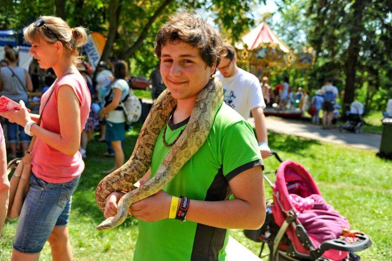 Víkend Mezi ploty: Bohnice ožily hudbou i divadlem, hráli Tomáš Klus, Aneta Langerová, Mňága a Žďorp a další