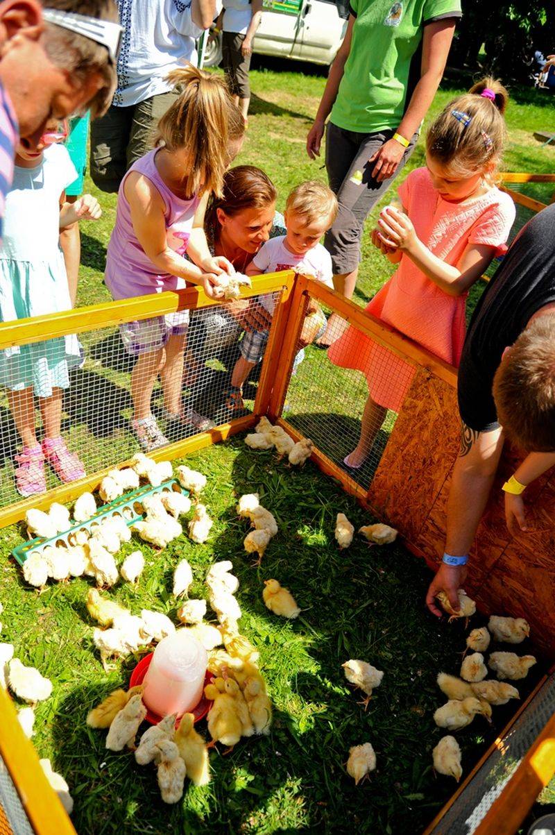 Víkend Mezi ploty: Bohnice ožily hudbou i divadlem, hráli Tomáš Klus, Aneta Langerová, Mňága a Žďorp a další