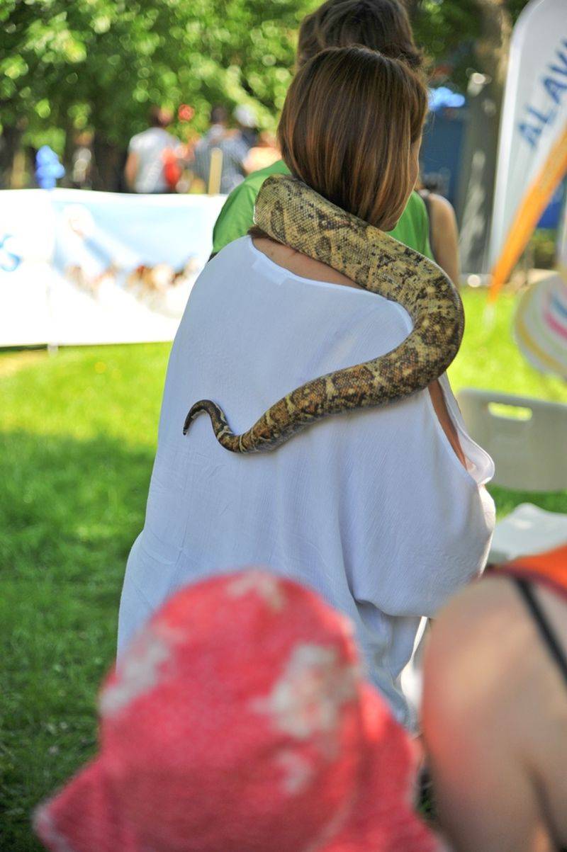 Víkend Mezi ploty: Bohnice ožily hudbou i divadlem, hráli Tomáš Klus, Aneta Langerová, Mňága a Žďorp a další