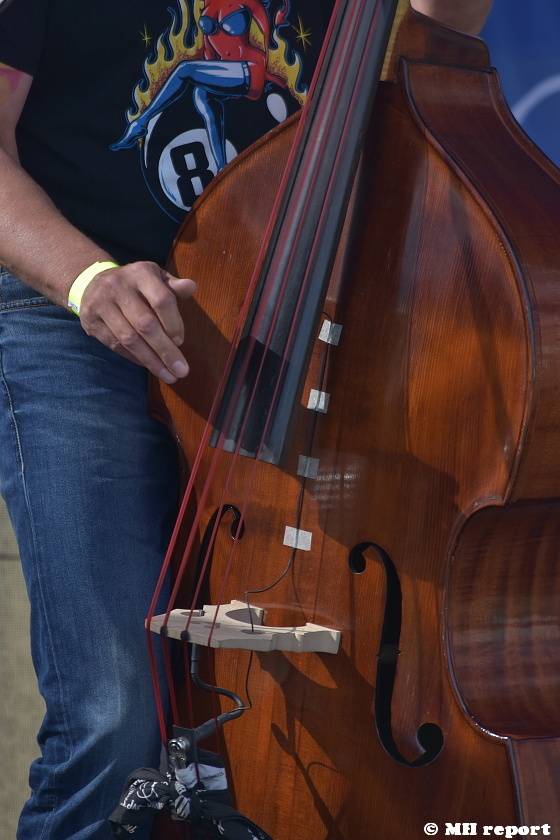 Vochov přivítal nový festival - Radovan Fest vol. 0 s kapelami Znouzectnost nebo Sex Deviants