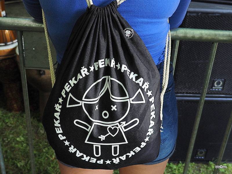 Thomas Anders byl hlavní hvězdou pátečního Sázavafestu, diváky bavili i Mig 21, Michal Hrůza nebo Jelen