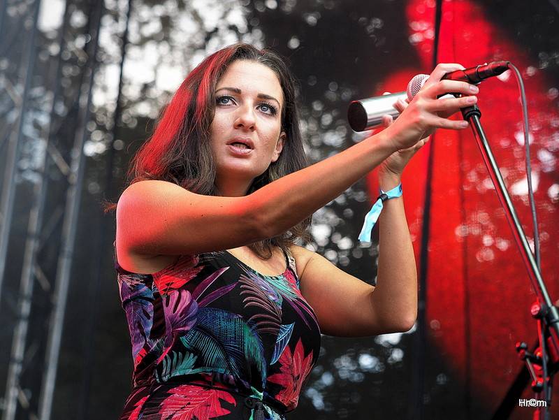 Thomas Anders byl hlavní hvězdou pátečního Sázavafestu, diváky bavili i Mig 21, Michal Hrůza nebo Jelen