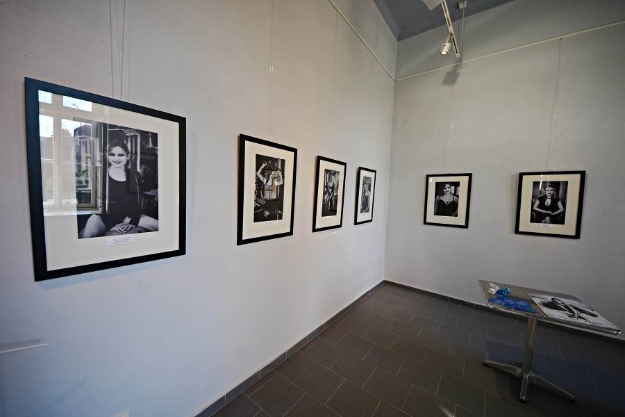 Slavonice fest bavil filmy i hudbou, hráli Tata Bojs, Michal Hrůza nebo Visací zámek