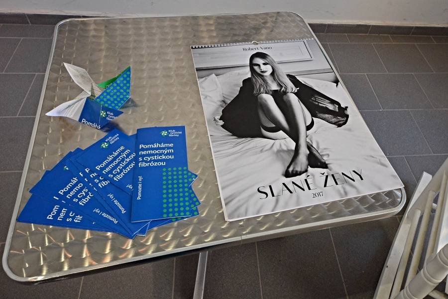 Slavonice fest bavil filmy i hudbou, hráli Tata Bojs, Michal Hrůza nebo Visací zámek