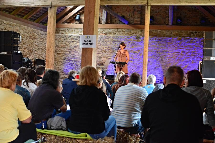 Slavonice fest bavil filmy i hudbou, hráli Tata Bojs, Michal Hrůza nebo Visací zámek