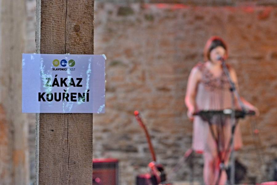 Slavonice fest bavil filmy i hudbou, hráli Tata Bojs, Michal Hrůza nebo Visací zámek