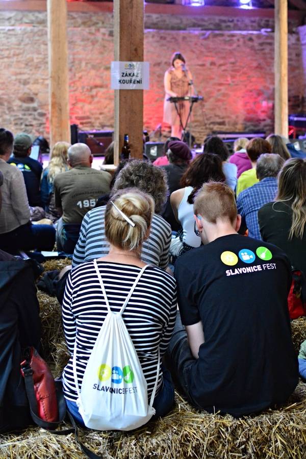 Slavonice fest bavil filmy i hudbou, hráli Tata Bojs, Michal Hrůza nebo Visací zámek