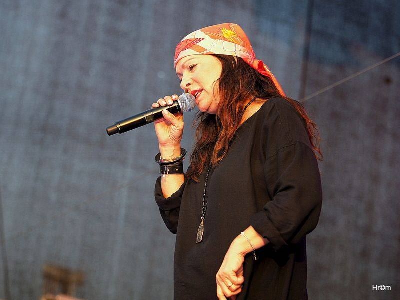 Hrady CZ: Sobotu na Bouzově provoněl Tomáš Klus vonnými tyčinkami, vystoupili i Anna K., Richard Müller nebo Majk Spirit