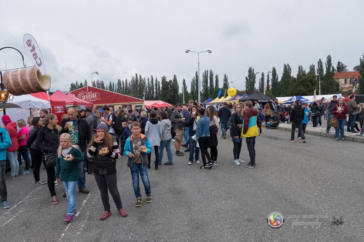 Létofest v Plzni ozdobili Wanastowi Vjecy, Mandrage nebo Michal Hrůza 