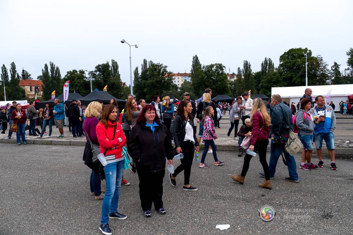 Létofest v Plzni ozdobili Wanastowi Vjecy, Mandrage nebo Michal Hrůza 