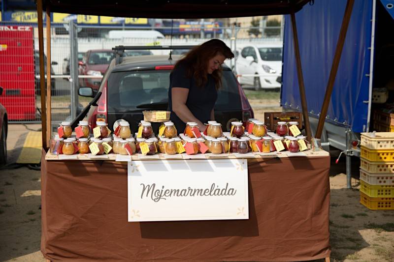 Dožínky na Letné obohatili svými koncerty Slza, Ewa Farna, Voxel nebo Pokáč