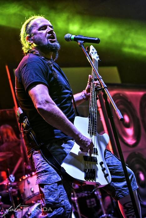 W.A.S.P. v Hluku připomněl desku The Crimson Idol a přihodil i další hity