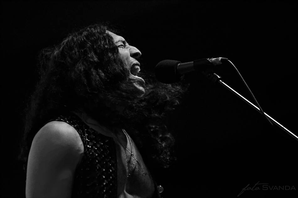 W.A.S.P. v Hluku připomněl desku The Crimson Idol a přihodil i další hity