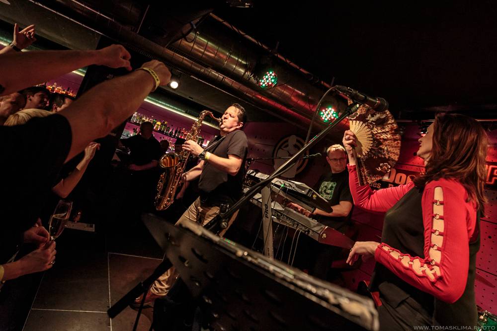 Sto zvířat to v rámci Elephant tour rozjeli v Jazz Docku. V únoru se tam vrátí