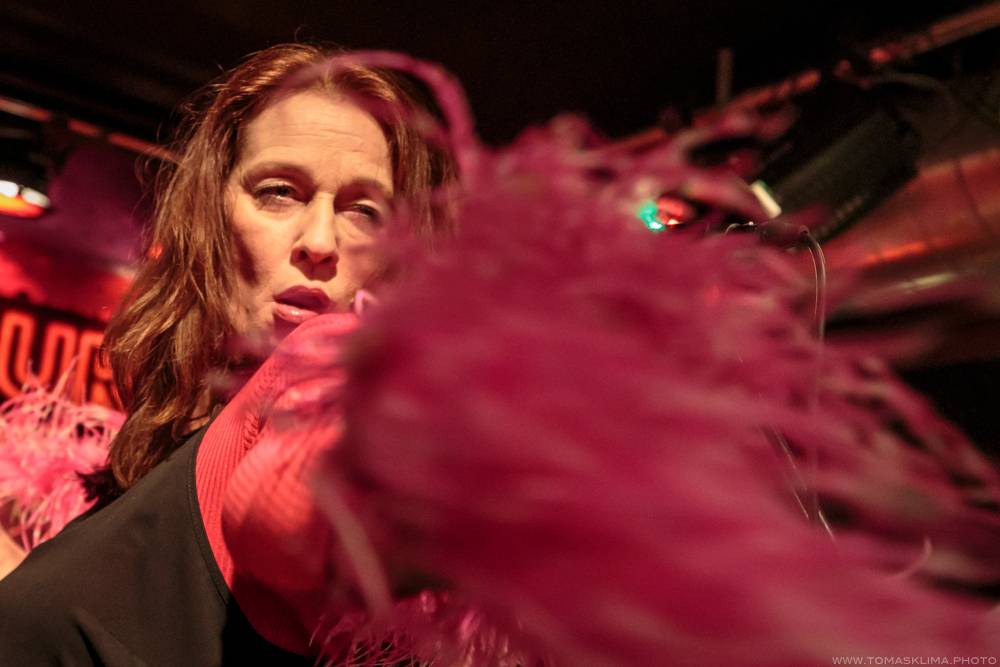 Sto zvířat to v rámci Elephant tour rozjeli v Jazz Docku. V únoru se tam vrátí