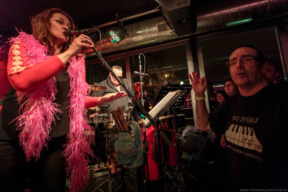 Sto zvířat to v rámci Elephant tour rozjeli v Jazz Docku. V únoru se tam vrátí