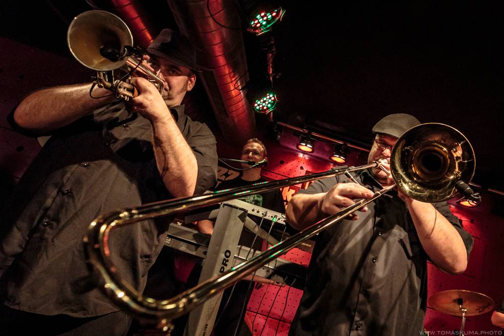 Sto zvířat to v rámci Elephant tour rozjeli v Jazz Docku. V únoru se tam vrátí