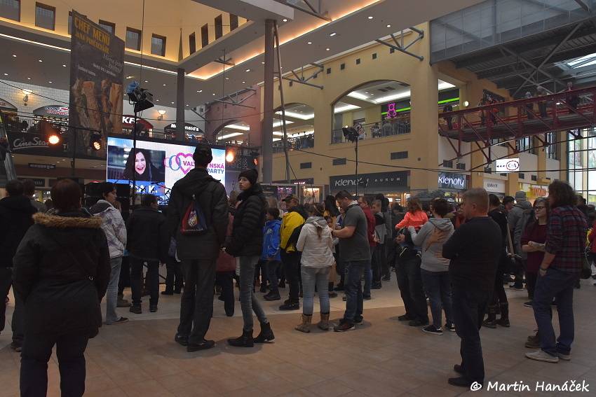 Valentýnská party Žebříku v Plzni: Fanoušky potěšili Anna K., Pokáč i Honza Křížek