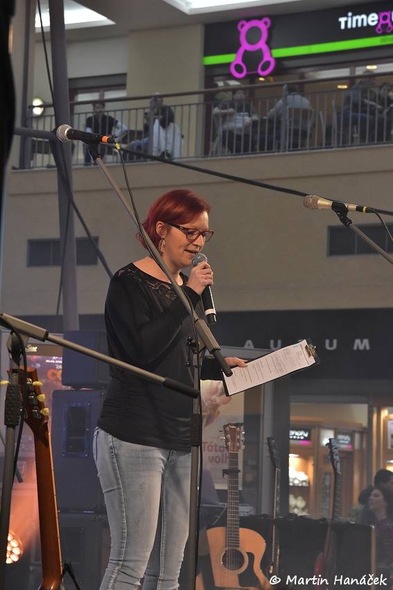 Valentýnská party Žebříku v Plzni: Fanoušky potěšili Anna K., Pokáč i Honza Křížek