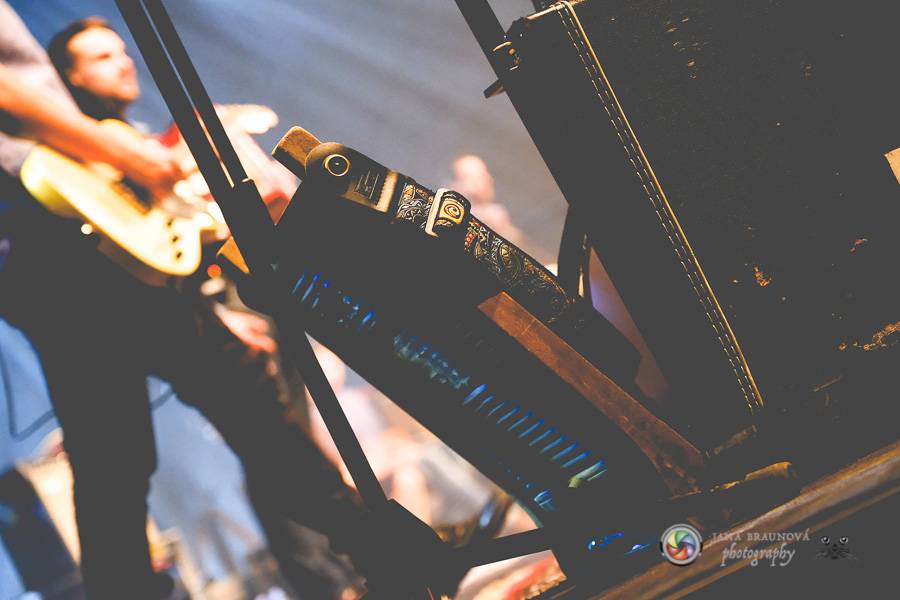 Jelen v DEPO2015 rozezpíval plzeňské fanoušky 