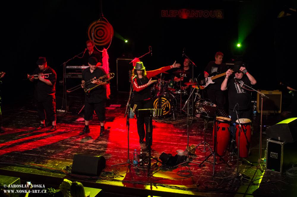 Sto zvířat rozjelo v kadaňském Orfeu sloní party