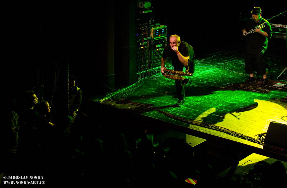 Sto zvířat rozjelo v kadaňském Orfeu sloní party