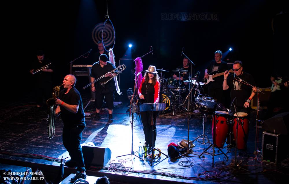 Sto zvířat rozjelo v kadaňském Orfeu sloní party