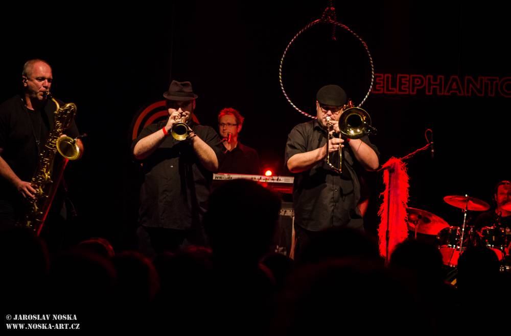 Sto zvířat rozjelo v kadaňském Orfeu sloní party