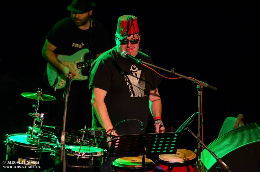 Sto zvířat rozjelo v kadaňském Orfeu sloní party