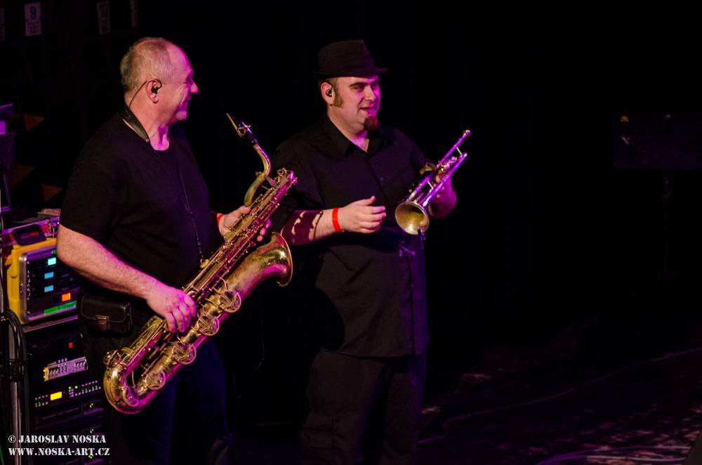 Sto zvířat rozjelo v kadaňském Orfeu sloní party