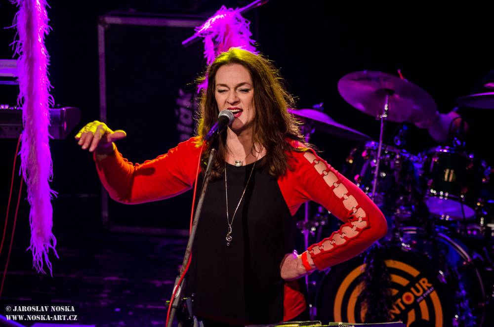 Sto zvířat rozjelo v kadaňském Orfeu sloní party